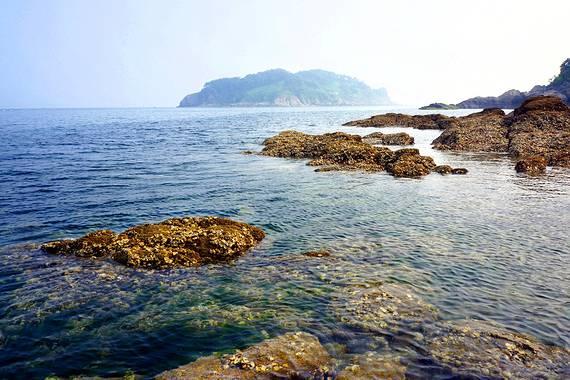 沙子口大集鲜味满满